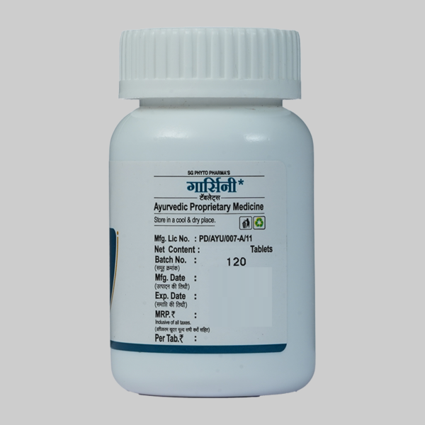 Garcini Tablet - Image 3